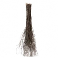 ����� ��������� (���������)