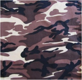 ������� (� ������������)