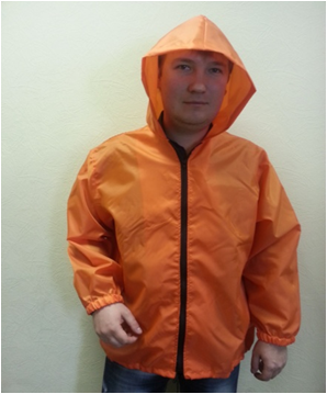 ������ ���������