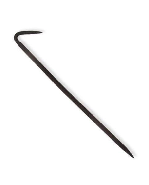 ��� ��������