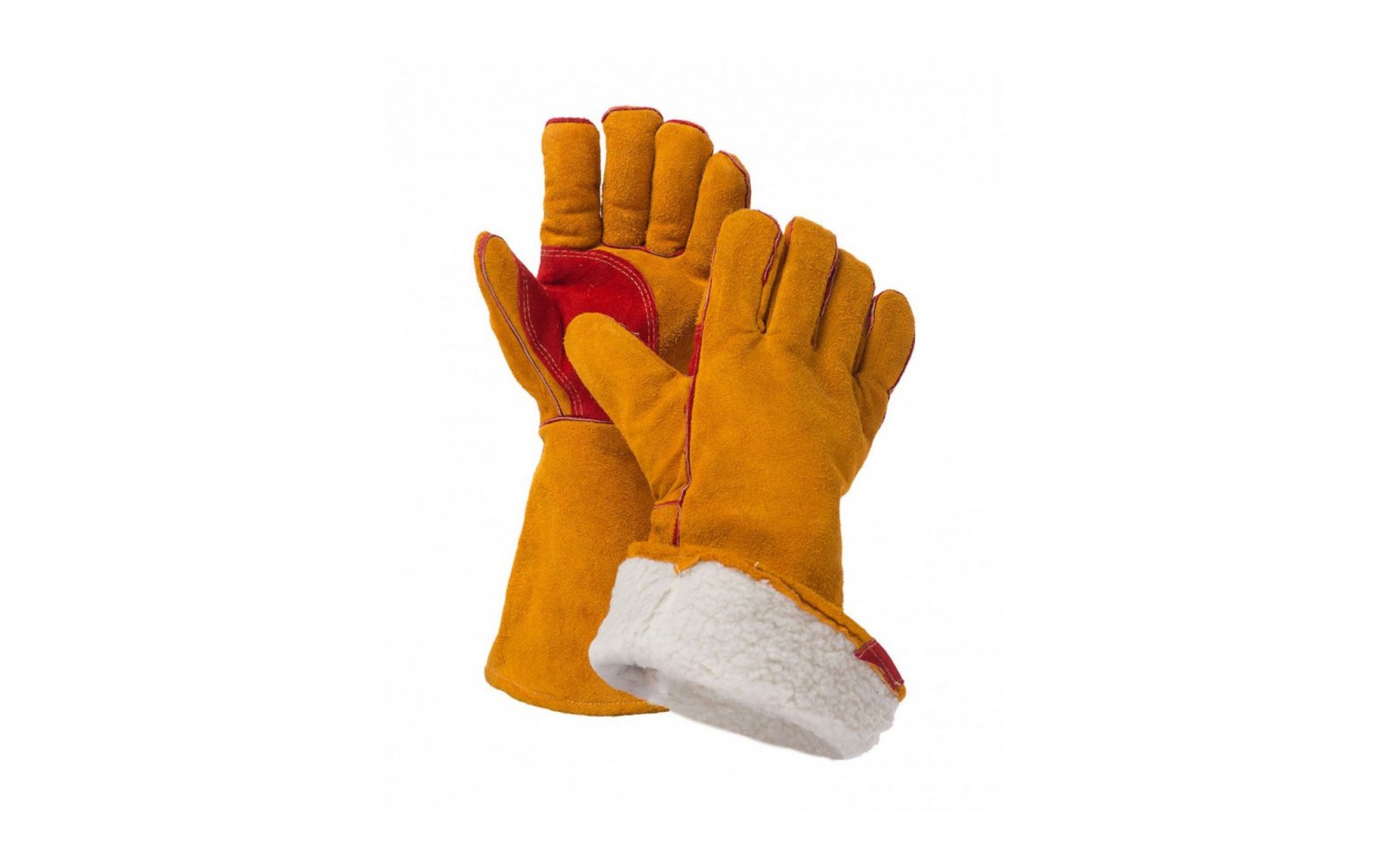 ����� �������� ���������  �������