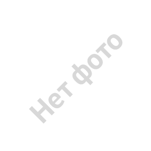 ���� �������� �����������